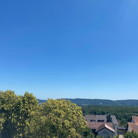 Moderne Ferien-Dachwohnung In Idyllischer Lage Neuweiler  Zewnętrze zdjęcie